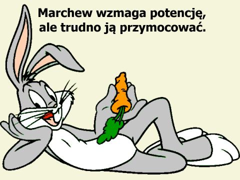 Królik Bunny z marchewką