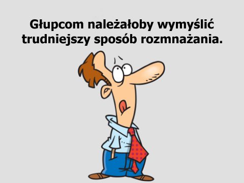 Głupcom należałoby wymyślić trudniejszy sposób rozmnażania.