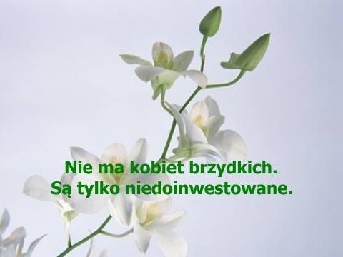 Nie ma kobiet brzydkich. Są tylko niedoinwestowane.