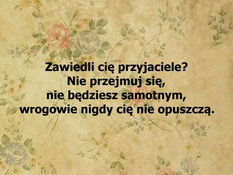 Zawiedli cię przyjaciele? Nie przejmuj się, nie będziesz samotnym, wrogowie nigdy cię nie opuszczą.