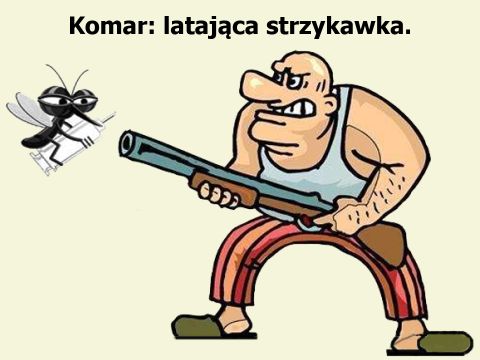 Komar: latająca strzykawka